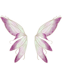 Commission Fairy Wings Lily of the Valley