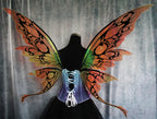 Commission Fairy Wings Lacrimosa