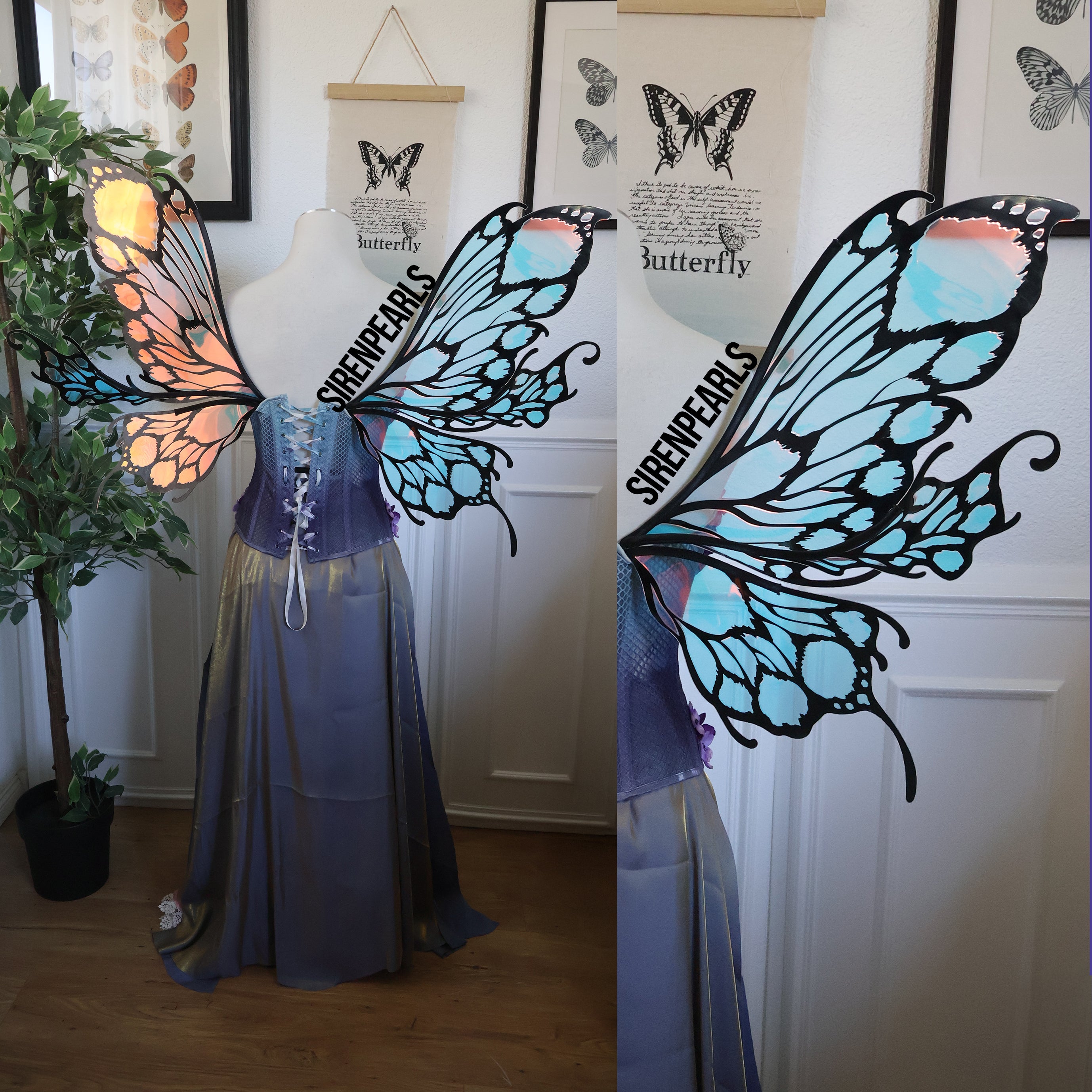 Fairy Wings Mariposa M black