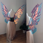 Commission Fairy Wings Asteria