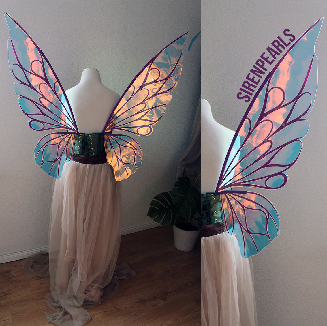 Commission Fairy Wings Asteria