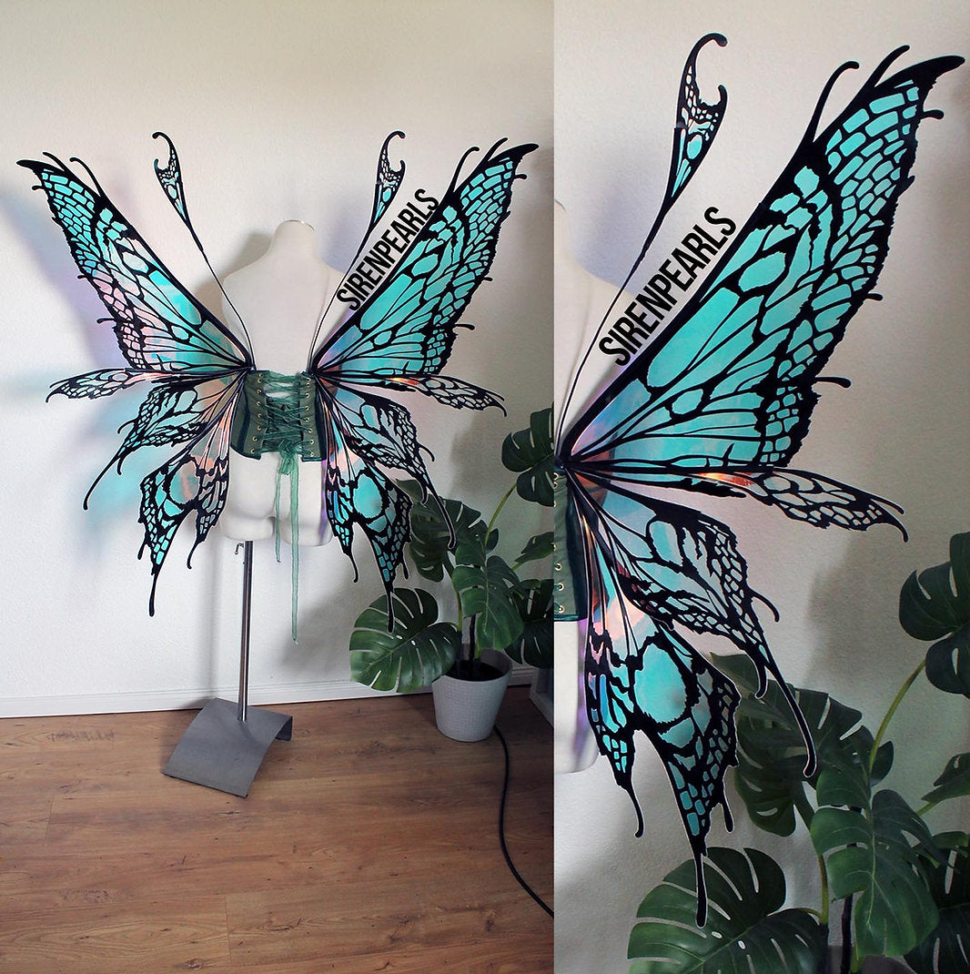 Commission Fairy Wings Orthoptera