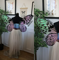 Fairy Wings Leunea M black