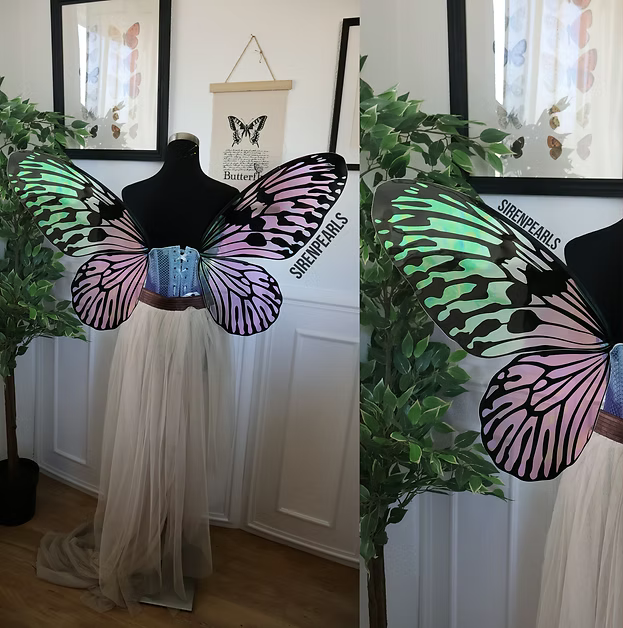 Fairy Wings Leunea M black