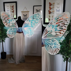 Fairy Wings Leunea L white