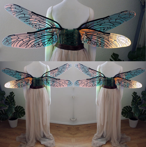 Commission Fairy Wings Dragonfly