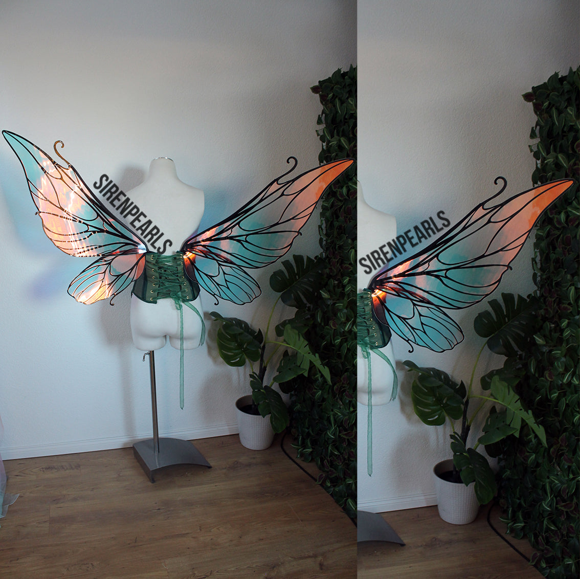 Commission Fairy Wings Niamh