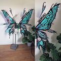 Orthoptera L black