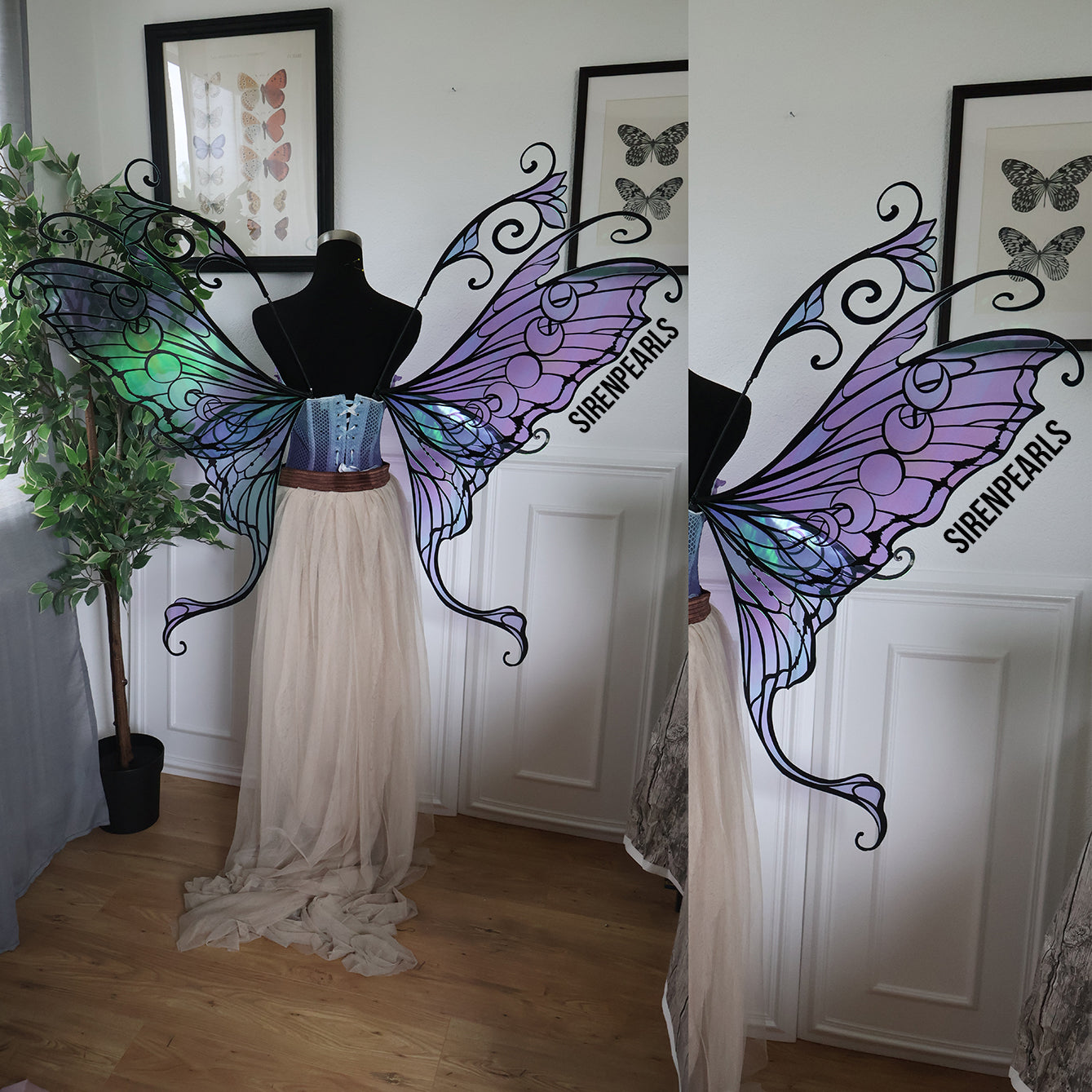 Fairy Wings Selene L blue black