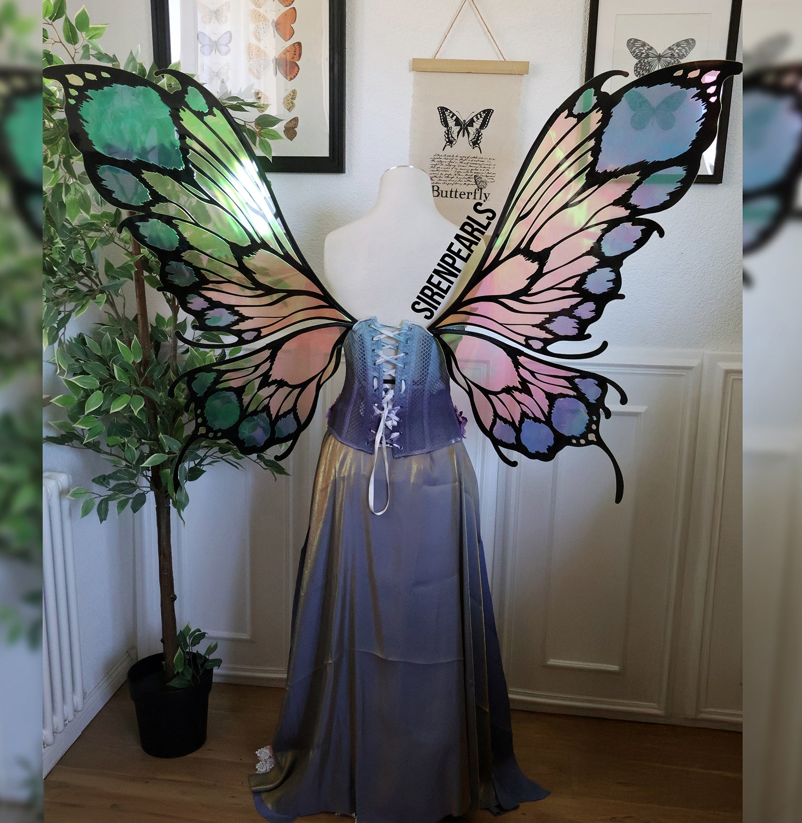 Fairy Wings Mariposa Swallowtail