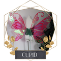 Commission Fairy Wings Cupid