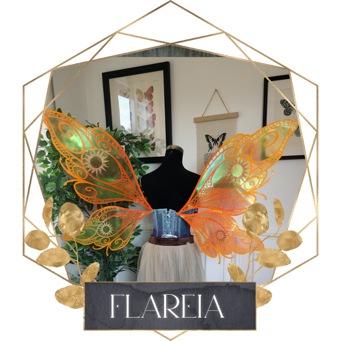 Commission Fairy Wings Flareia