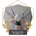 Commission Fairy Wings Mantis