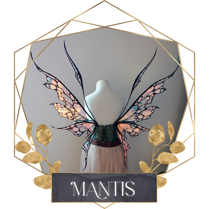 Commission Fairy Wings Mantis