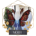 Commission Fairy Wings Moth