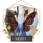 Commission Fairy Wings Moth