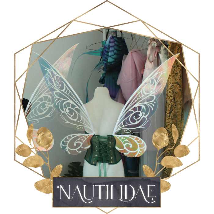 Commission Fairy Wings Nautilidae