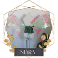 Commission Fairy Wings Niara