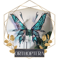 Commission Fairy Wings Orthoptera