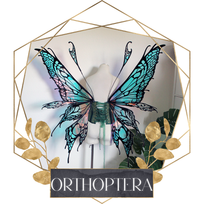 Commission Fairy Wings Orthoptera