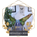 Commission Fairy Wings Orthoptera Moth