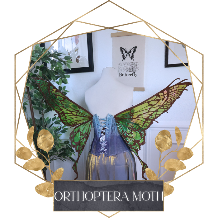Commission Fairy Wings Orthoptera Moth